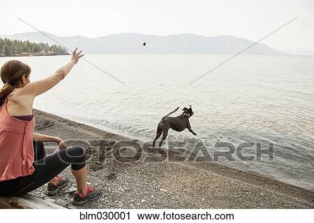 Stock Image - Caucasian woman and dog playing fetch by lake. Fotosearch
