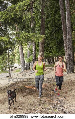 Stock Photo - Caucasian women running with dog in forest. Fotosearch