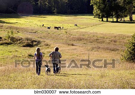 Stock Photo - Couple walking dogs in rural landscape. Fotosearch