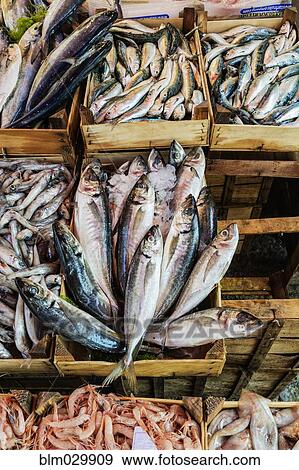 Stock Photo - Fresh fish on display at market stall, Palermo, Sicily, Italy. Fotosearch