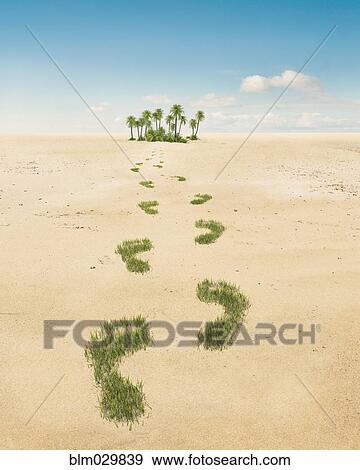 Stock Photo - Green grass footsteps leading to oasis in desert. Fotosearch