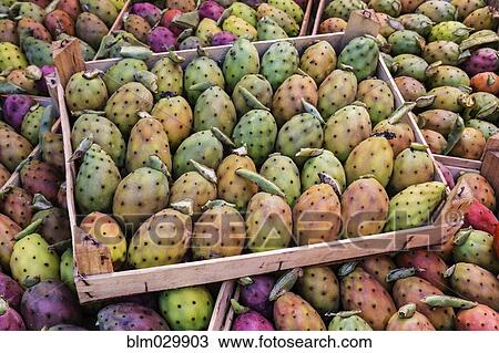 Stock Image - Prickly pear fruit on display at market stall, Palermo, Sicily, Italy. Fotosearch