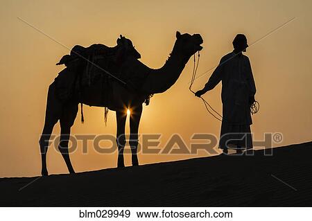 Silhouette of camel driver in Thar Desert, Jaisalmer, Rajasthan, India View Large Photo Image Stock Photo - Silhouette of camel driver in Thar Desert, Jaisalmer, Rajasthan, India. Fotosearch