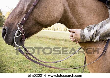Woman hugging horse's neck View Large Photo Image Picture - Woman hugging horse's neck. Fotosearch