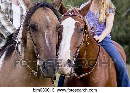 Women riding horses in rural landscape View Large Photo Image Stock Image - Women riding horses in rural landscape. Fotosearch