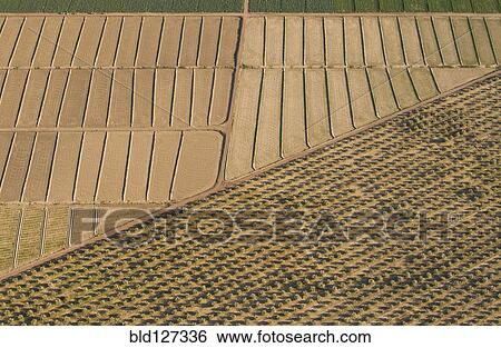 aerial view of patchwork fields View Large Photo Image Stock Photograph - aerial view of patchwork fields. Fotosearch