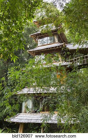 Bamboo trees around Balinese pagoda, Ubud, Bali, Indonesia View Large Photo Image Stock Photo - Bamboo trees around Balinese pagoda, Ubud, Bali, Indonesia. Fotosearch