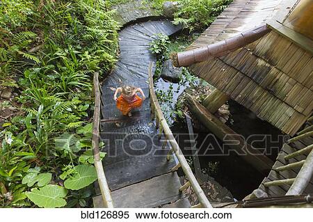 Caucasian girl running up steps in garden, Ubud, Bali, Indonesia View Large Photo Image Stock Photography - Caucasian girl running up steps in garden, Ubud, Bali, Indonesia. Fotosearch