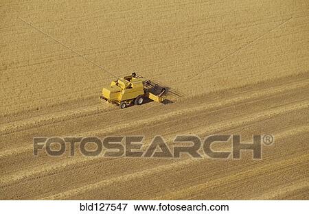 Combine harvester in wheat field aerial view View Large Photo Image Stock Photo - Combine harvester in wheat field aerial view. Fotosearch