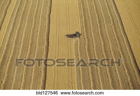 Stock Photograph - Combine harvester in wheat field aerial view. Fotosearch
