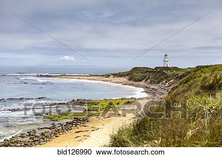 Craggy coastline and lighthouse, Waikawa Point, New Zealand View Large Photo Image Stock Image - Craggy coastline and lighthouse, Waikawa Point, New Zealand. Fotosearch