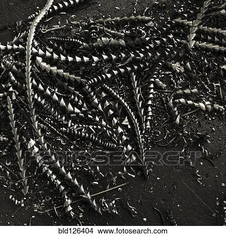 Discarded metal shavings View Large Photo Image Picture - Discarded metal shavings. Fotosearch