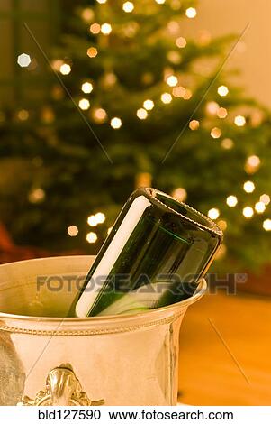 Stock Image - Empty bottle of champagne in cooler with Christmas tree in background. Fotosearch