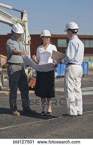 female and male architects in construction site View Large Photo Image Stock Image - female and male architects in construction site. Fotosearch