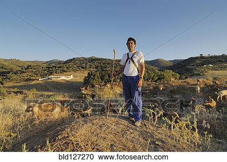 Stock Image - Goat farmer wioth flock of goats. Fotosearch