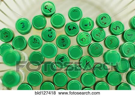 Green lids on test tubes View Large Photo Image Stock Photo - Green lids on test tubes. Fotosearch