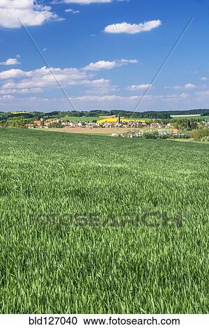 Green wheat fields surrounding town, Prague, Central Bohemia, Czech Republic View Large Photo Image Stock Image - Green wheat fields surrounding town, Prague, Central Bohemia, Czech Republic. Fotosearch