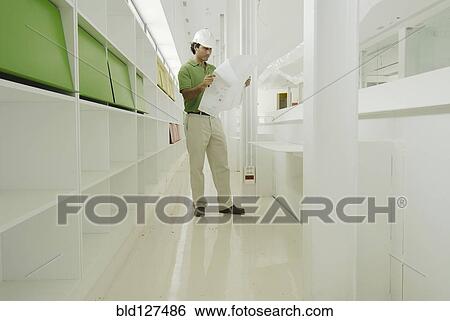 Male architect looking at plan in recently finished office building View Large Photo Image Stock Photograph - Male architect looking at plan in recently finished office building. Fotosearch