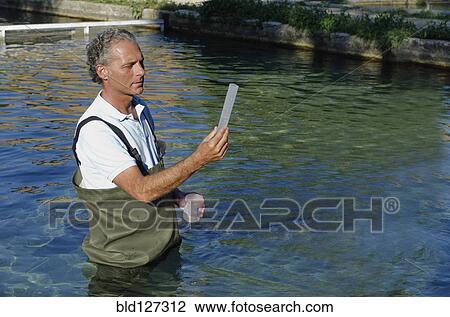 Stock Image - man in wading trousers checking water sample. Fotosearch