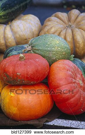 Pile of pumpkins of various colors View Large Photo Image Stock Photo - Pile of pumpkins of various colors. Fotosearch