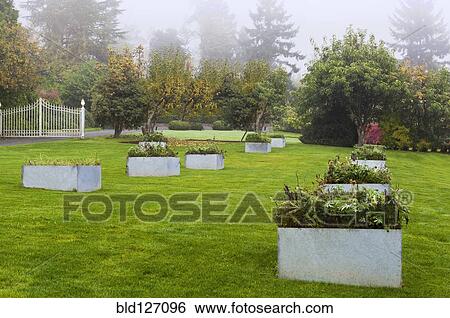 Raised beds in landscaped garden View Large Photo Image Stock Photograph - Raised beds in landscaped garden. Fotosearch