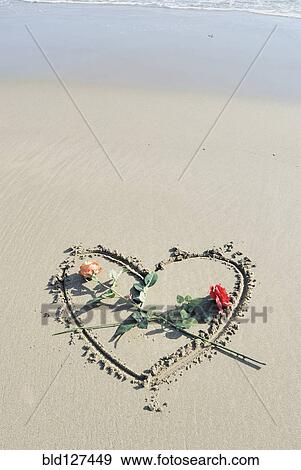 Roses laid on heart drawn in sand View Large Photo Image Stock Photo - Roses laid on heart drawn in sand. Fotosearch