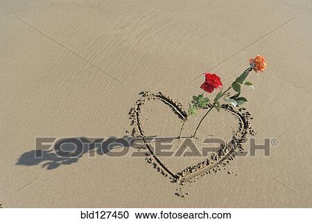 Roses sticking out of heart drawn in sand View Large Photo Image Stock Image - Roses sticking out of heart drawn in sand. Fotosearch