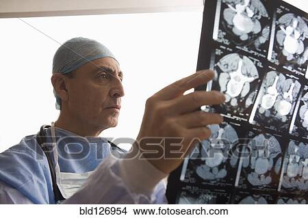 Serious Hispanic surgeon examining x-rays View Large Photo Image Picture - Serious Hispanic surgeon examining x-rays. Fotosearch