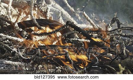 Smouldering embers View Large Photo Image Stock Photography - Smouldering embers. Fotosearch