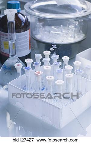 Test tubes in rack View Large Photo Image Stock Photo - Test tubes in rack. Fotosearch