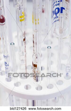 Test tubes in rack View Large Photo Image Stock Photograph - Test tubes in rack. Fotosearch
