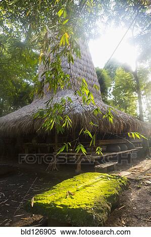 Stock Photography - Trees around thatched Balinese hut, Ubud, Bali, Indonesia. Fotosearch