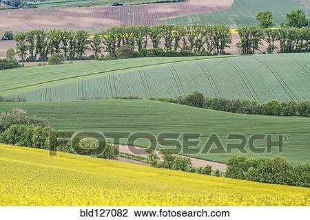 View of rolling rural landscape View Large Photo Image Stock Image - View of rolling rural landscape. Fotosearch