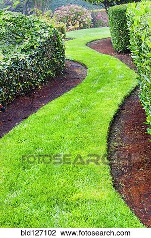 Stock Image - Winding grass path in landscaped garden. Fotosearch
