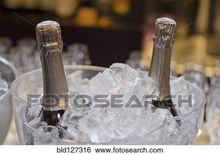 Wine bottles in ice bucket in restaurant View Large Photo Image Stock Photograph - Wine bottles in ice bucket in restaurant. Fotosearch