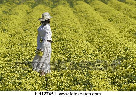 Stock Image - Woman in white dress and hat standing in field of yellow flowers. Fotosearch