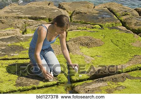 Young woman taking water sample kneeling on rock View Large Photo Image Stock Photo - Young woman taking water sample kneeling on rock. Fotosearch