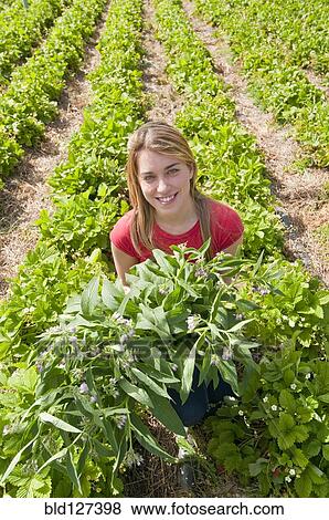 young woman with green plants in field View Large Photo Image Stock Photo - young woman with green plants in field. Fotosearch