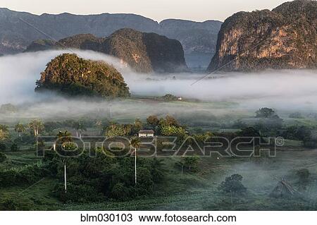 Fog over rural valley, Vinales, Pinar del Rio, Cuba View Large Photo Image Stock Image - Fog over rural valley, Vinales, Pinar del Rio, Cuba. Fotosearch