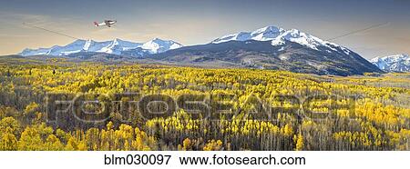 Wildflowers growing in mountain landscape, Crested Butte, Colorado, United States View Large Photo Image Stock Photo - Wildflowers growing in mountain landscape, Crested Butte, Colorado, United States. Fotosearch