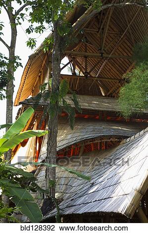 Bamboo treehouse, Ubud, Bali, Indonesia View Large Photo Image Stock Image - Bamboo treehouse, Ubud, Bali, Indonesia. Fotosearch