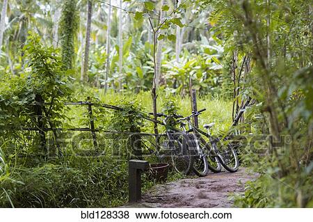 Bicycles parked on path in lush park View Large Photo Image Stock Photo - Bicycles parked on path in lush park. Fotosearch
