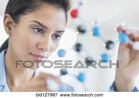 Hispanic scientist examining molecular model View Large Photo Image Stock Photo - Hispanic scientist examining molecular model. Fotosearch