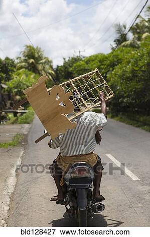 Man carrying wooden furniture on scooter View Large Photo Image Stock Photo - Man carrying wooden furniture on scooter. Fotosearch