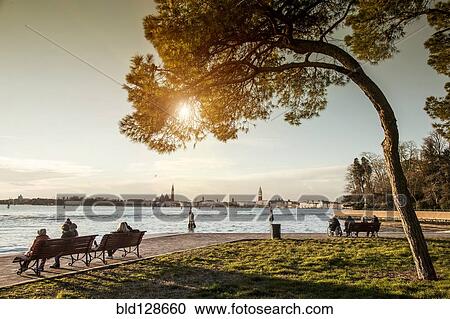 Park benches on waterfront, Venice, Veneto, Italy View Large Photo Image Stock Image - Park benches on waterfront, Venice, Veneto, Italy. Fotosearch