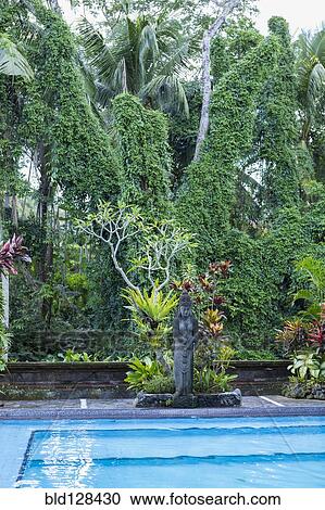 Plants and statue by swimming pool, Ubud, Bali, Indonesia View Large Photo Image Stock Image - Plants and statue by swimming pool, Ubud, Bali, Indonesia. Fotosearch