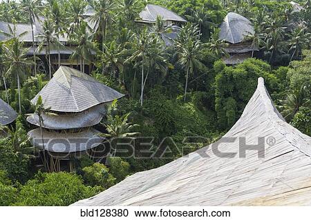 Treehouse rooftops of tropical hotel, Ubud, Bali, Indonesia View Large Photo Image Stock Image - Treehouse rooftops of tropical hotel, Ubud, Bali, Indonesia. Fotosearch