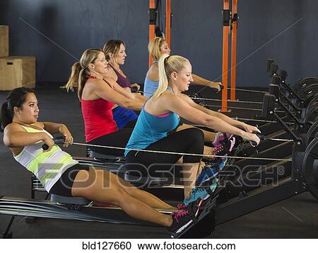 Women using rowing machines in gym View Large Photo Image Stock Image - Women using rowing machines in gym. Fotosearch