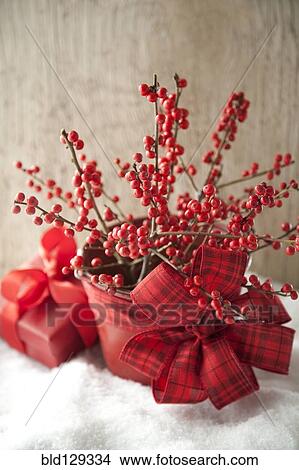 Bouquet of red berries decorated for Christmas View Large Photo Image Picture - Bouquet of red berries decorated for Christmas. Fotosearch