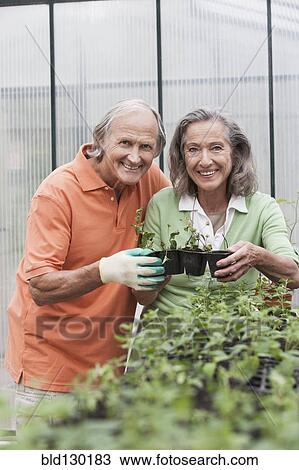 Couple potting plants in greenhouse View Large Photo Image Stock Image - Couple potting plants in greenhouse. Fotosearch